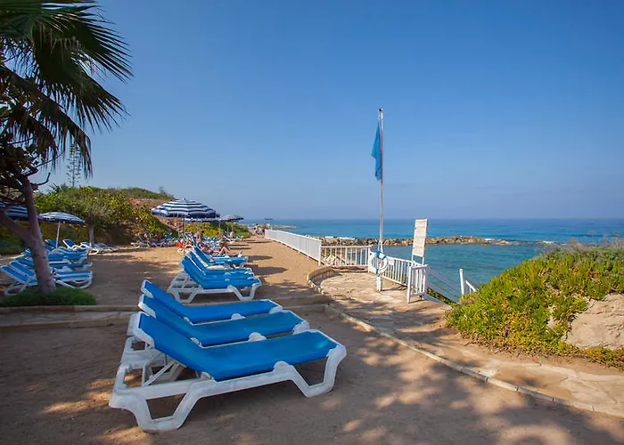 Leonardo Laura & Splash